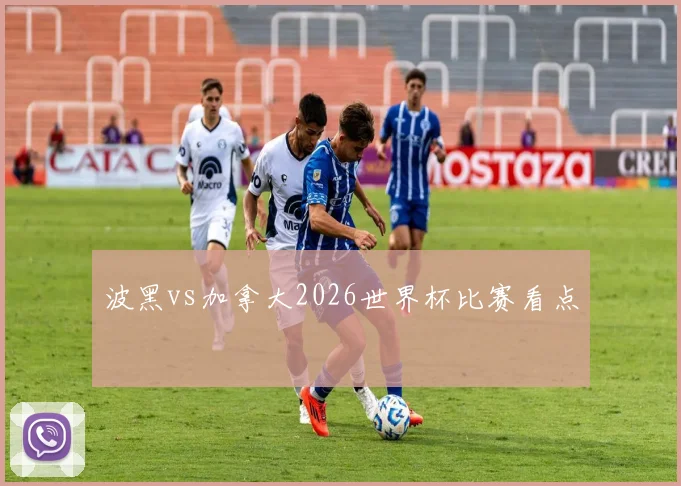波黑vs加拿大2026世界杯比赛看点
