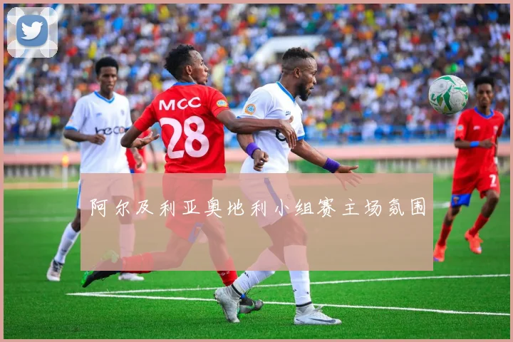 阿尔及利亚奥地利小组赛主场氛围