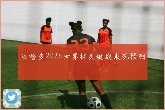 法哈多2026世界杯关键战表现预测