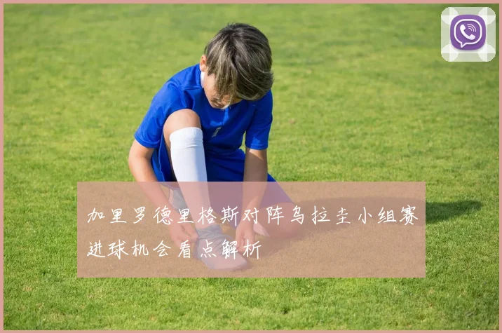 加里罗德里格斯对阵乌拉圭小组赛进球机会看点解析