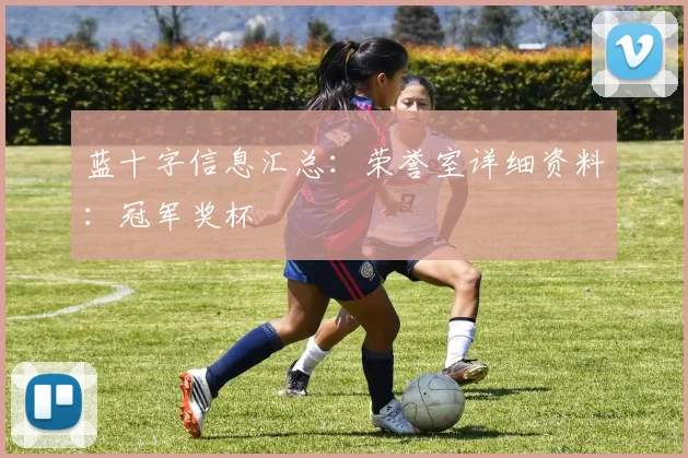 蓝十字信息汇总:荣誉室详细资料:冠军奖杯